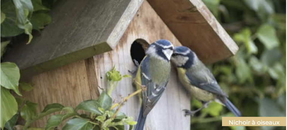 Nichoir à oiseaux - Biodiversité écoquartier Val de Sermon à Mordelles | Groupe Launay